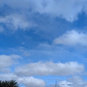 Meet your Posher, Tami